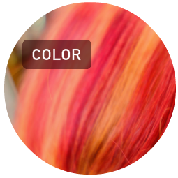 カラー