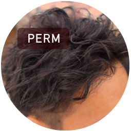 パーマ